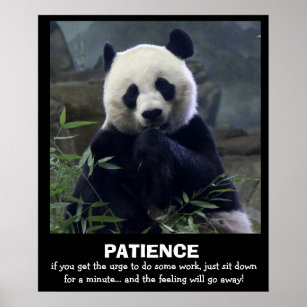Poster drôle Panda, PATIENCE