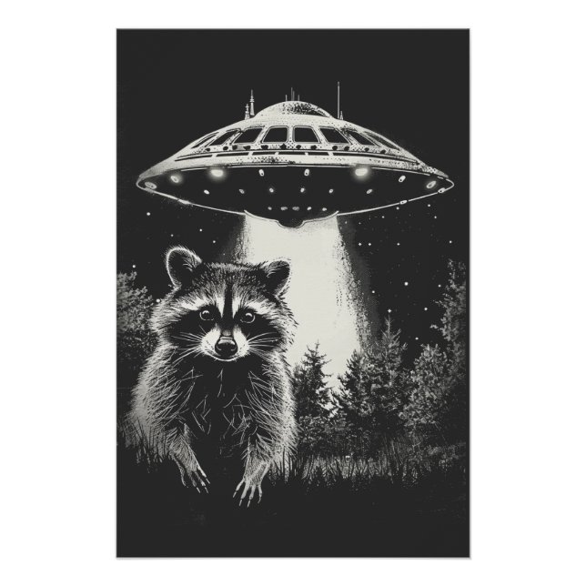 Poster Drôle Raton laveur Noir et Blanc de l'Espace UFO (Devant)