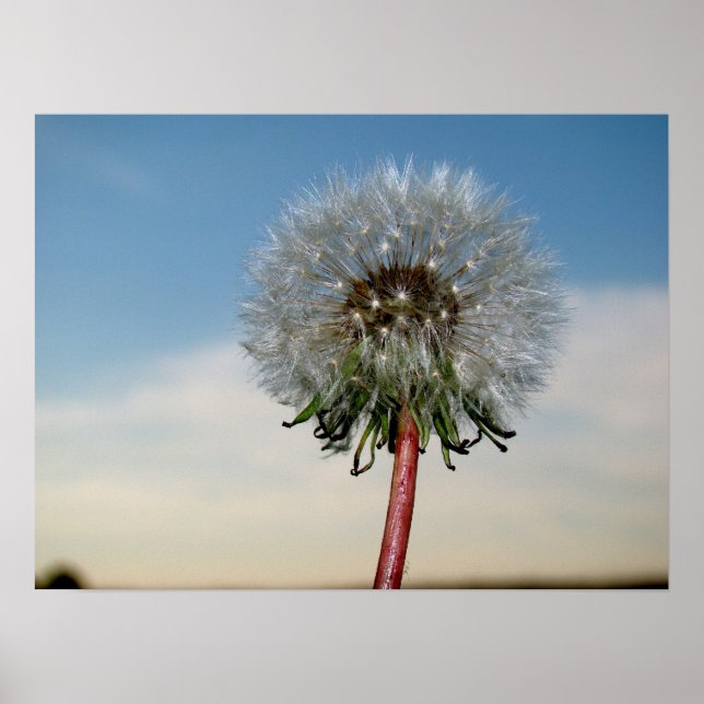 POSTER DSC00033 (Devant)