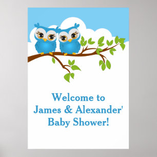 Poster du Baby shower de garçon Sweet Twins Owls