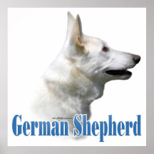 Poster du berger allemand blanc