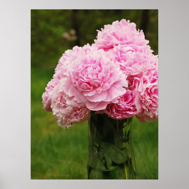 Poster du Bouquet Pink Peony (Devant)