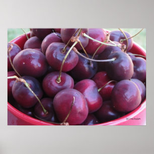 Poster du Bowl Full of Cherries