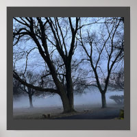 Poster du brouillard et des arbres