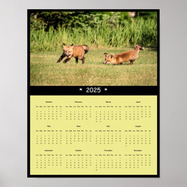Poster du calendrier des kits Red Fox 2025 (Devant)