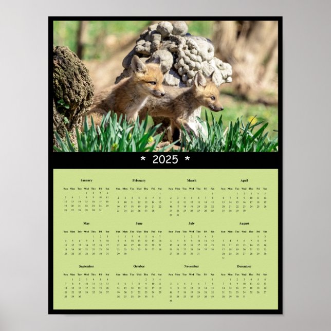 Poster du calendrier des kits Red Fox 2025 (Devant)