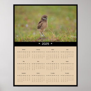 Poster du calendrier des murailles de la Chouette