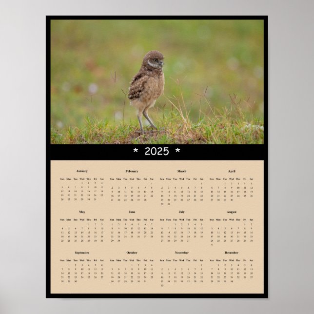 Poster du calendrier des murailles de la Chouette  (Devant)
