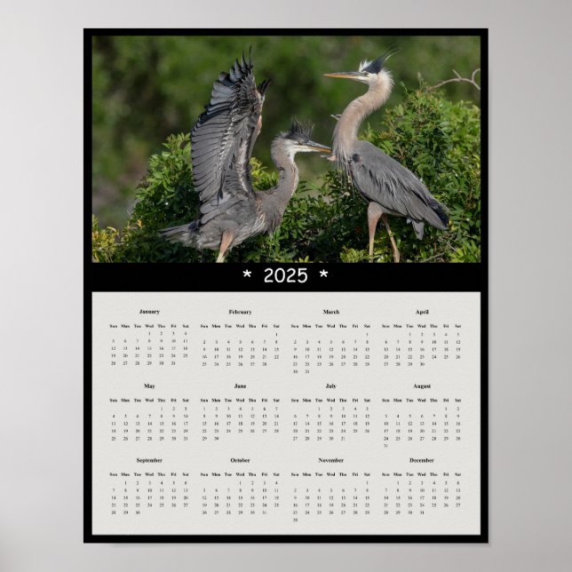 Poster du calendrier du Grand Héron Bleu 2025 (Devant)
