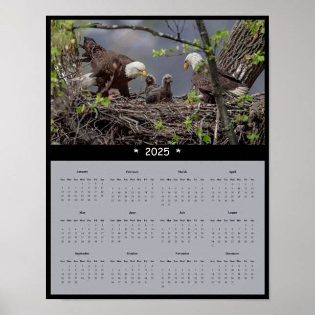 Poster du calendrier du mur d'aigle chauve 2025 (Devant)