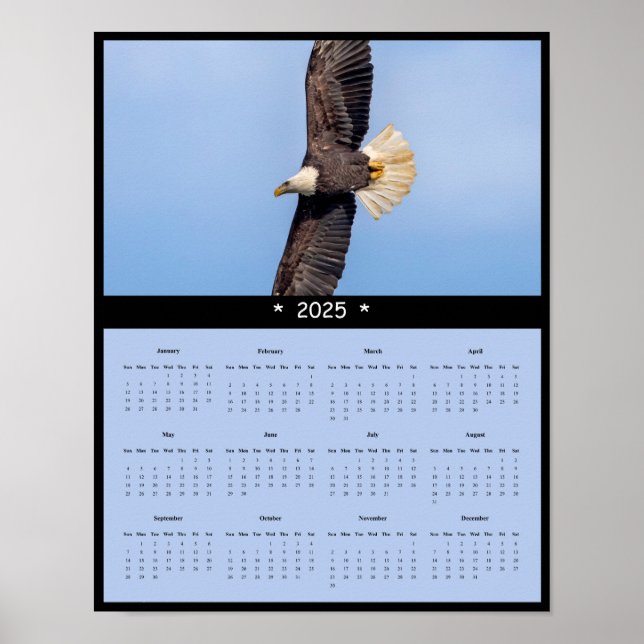Poster du calendrier du mur d'aigle chauve 2025 (Devant)