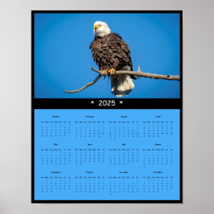 Poster du calendrier du mur d'aigle chauve 2025