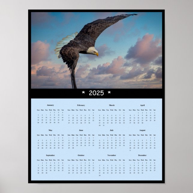 Poster du calendrier du mur d'aigle chauve 2025 (Devant)