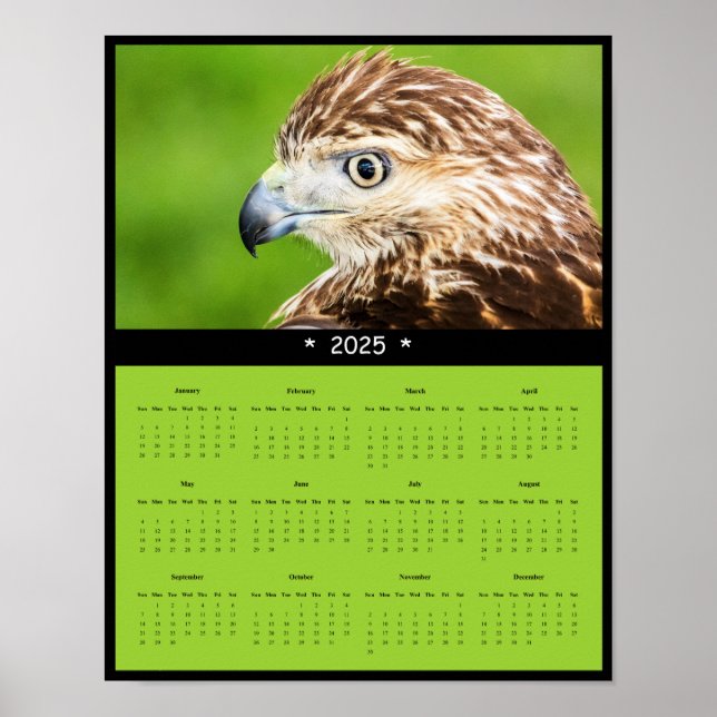 Poster du calendrier du mur de faucon à queue roug (Devant)