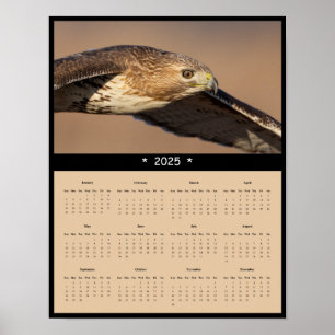 Poster du calendrier du mur de faucon rouge 2025