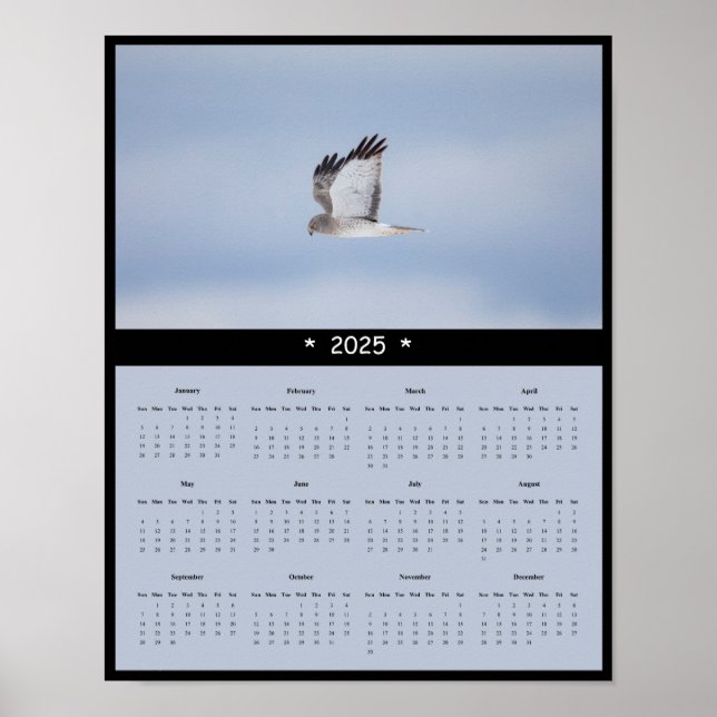 Poster du calendrier du mur de Harrier Hawk 2025 (Devant)