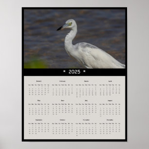 Poster du calendrier du mur de Heron 2025 immature