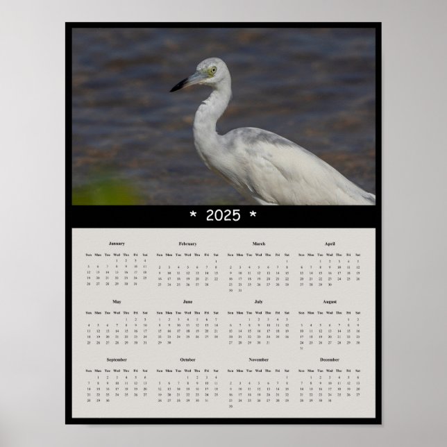 Poster du calendrier du mur de Heron 2025 immature (Devant)