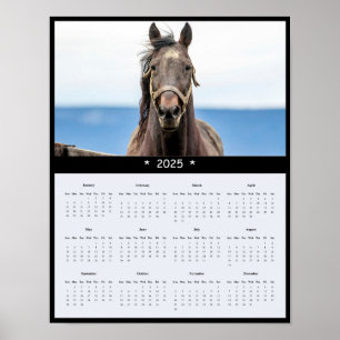 Poster du calendrier Horse Wall 2025