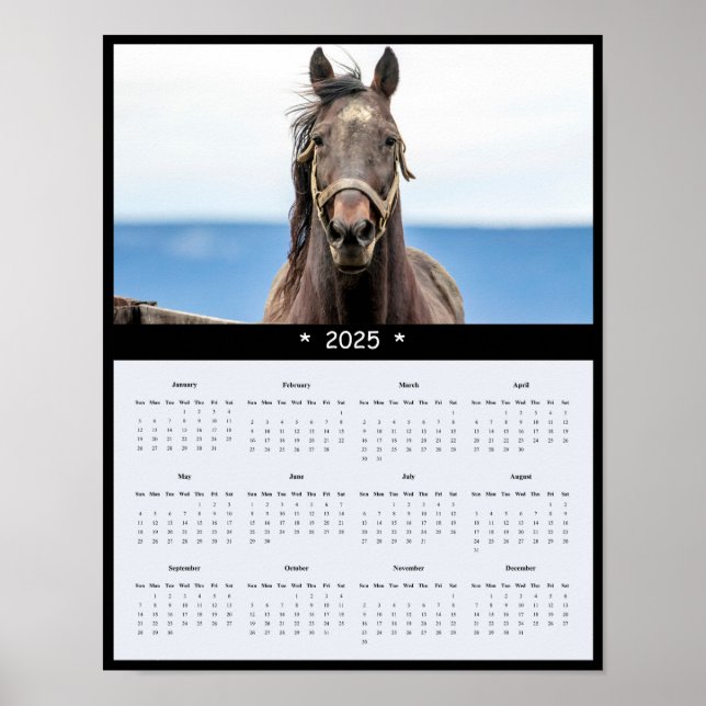 Poster du calendrier Horse Wall 2025 (Devant)