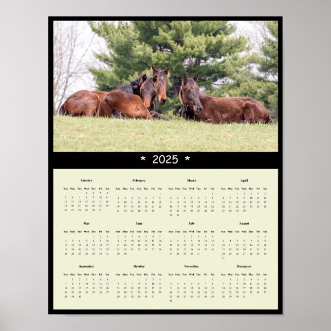 Poster du calendrier mural 2025 des chevaux (Devant)