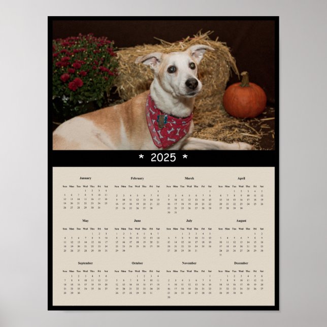 Poster du calendrier mural de chiens de races mixt (Devant)