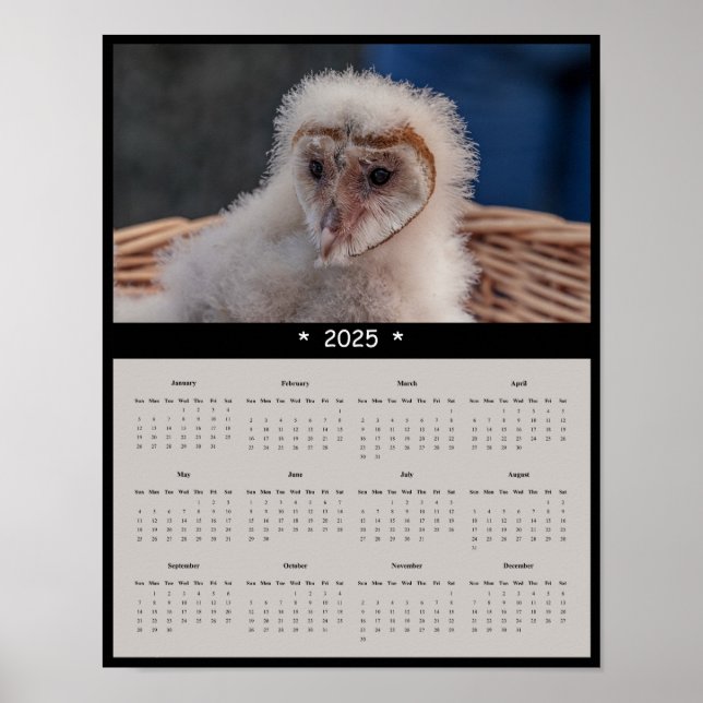 Poster du calendrier mural de la chèvre d'Amérique (Devant)