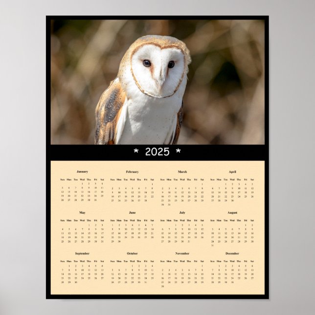 Poster du calendrier mural de la Chouette de la gr (Devant)
