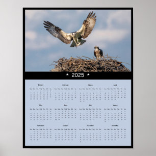 Poster du calendrier Osprey Wall 2025