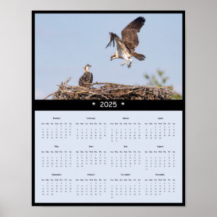 Poster du calendrier Osprey Wall 2025
