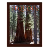 Poster du canyon Sequoia/Kings