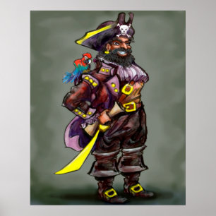 Poster du capitaine Pirate