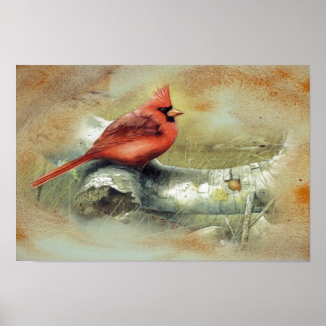 Poster du cardinal (Devant)