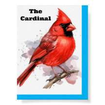 Poster du cardinal des oiseaux