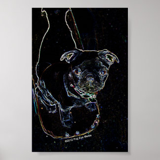 Poster du Carlin de skateboard