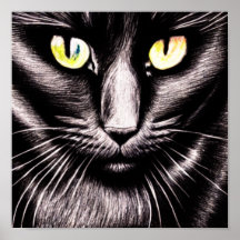 Poster du Carré de chat noir