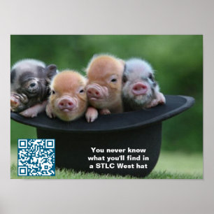 Poster du Casquette STLC West