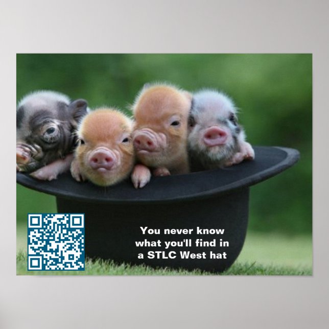 Poster du Casquette STLC West (Devant)