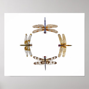 Poster du Cercle des libellules III