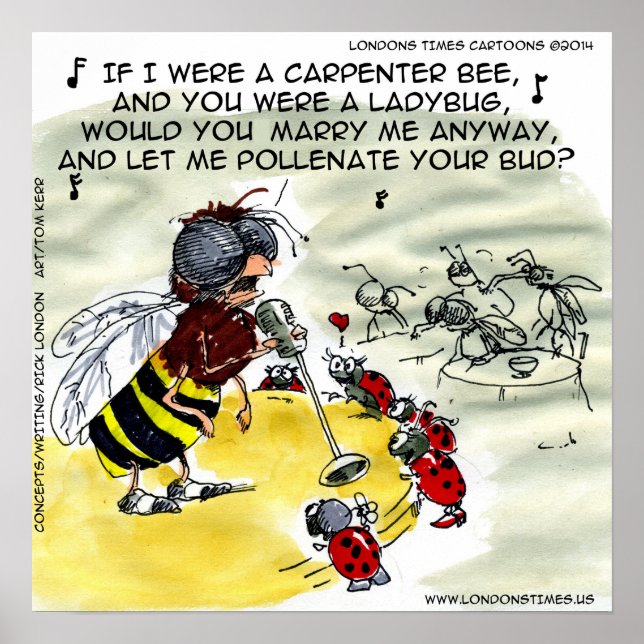 Poster du chanteur de discothèque Drôle Insect (Devant)