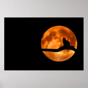 Poster du chat Silhouette Moonlight