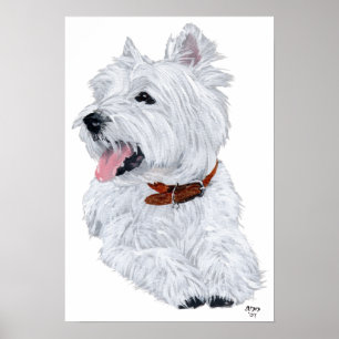 Poster du chef West Highland White Terrier