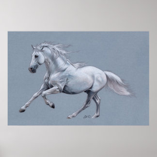 Poster du Cheval Blanc