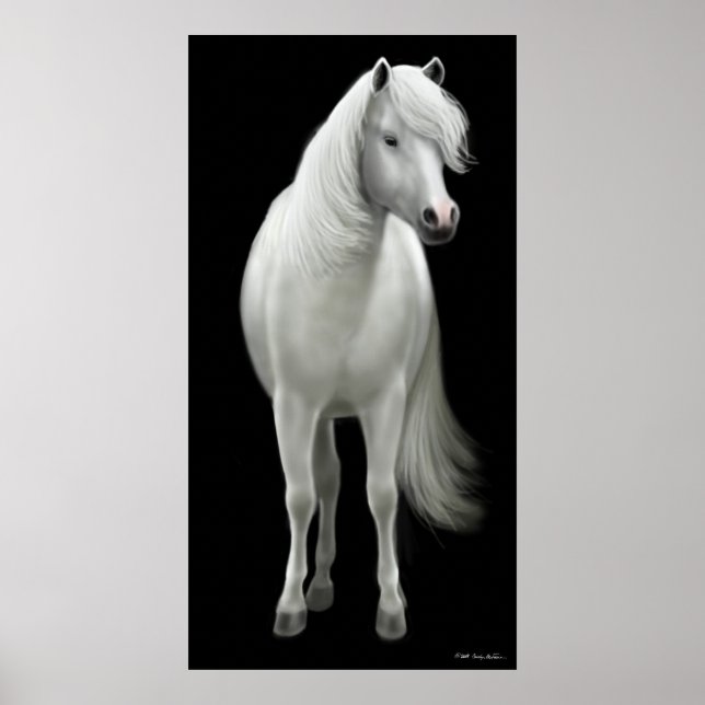 Poster du Cheval Blanc Sauvage (Devant)