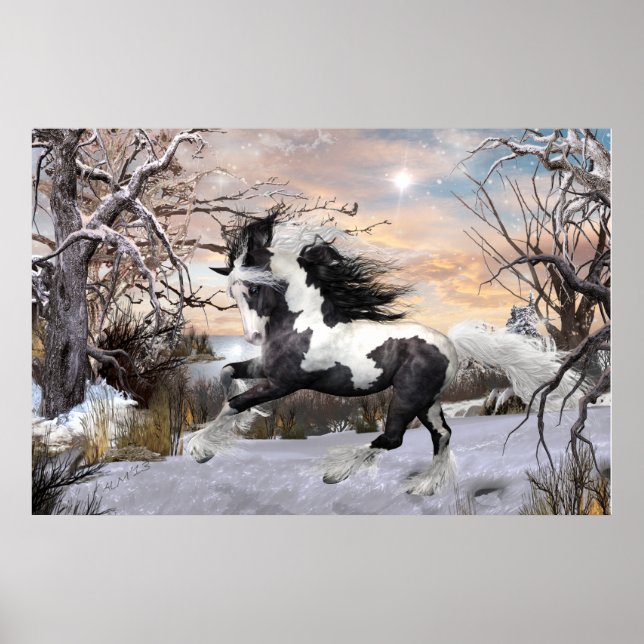 Poster du cheval Gypsy Vanner (Devant)