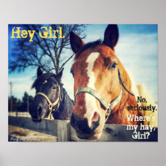 Poster du cheval : "Hey Girl."
