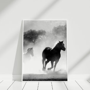 Poster du Cheval noir et blanc Imprimer