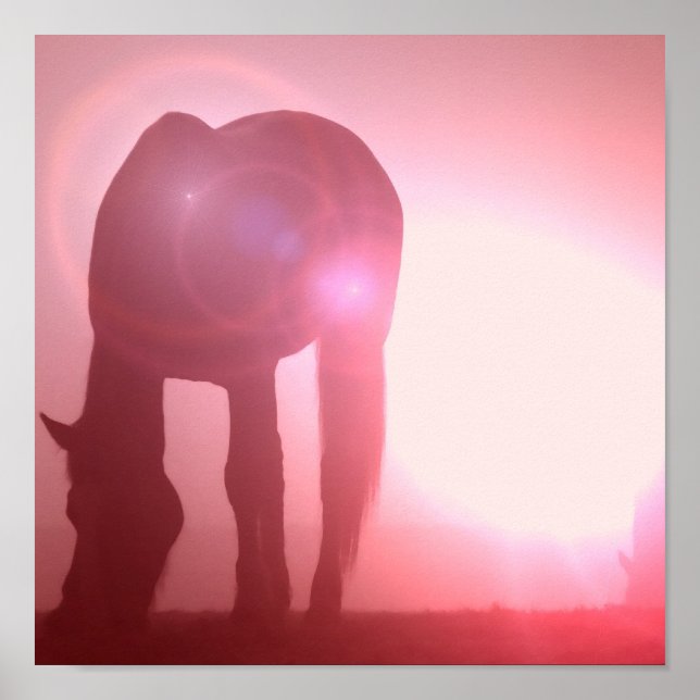 Poster du cheval Silhouette Imprimer (Devant)