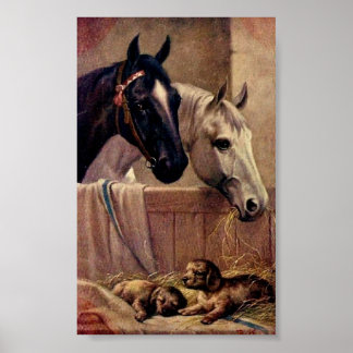 Poster du cheval vintage