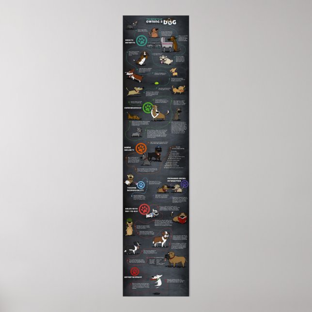 Poster du chien cool (Devant)